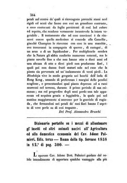 Giornale scientifico-letterario-agrario di Perugia e sua provincia