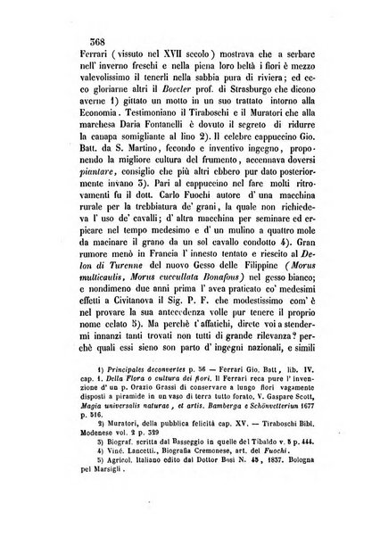 Giornale scientifico-letterario-agrario di Perugia e sua provincia