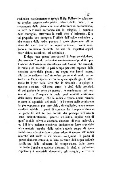 Giornale scientifico-letterario-agrario di Perugia e sua provincia