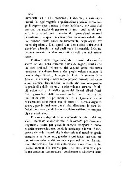 Giornale scientifico-letterario-agrario di Perugia e sua provincia