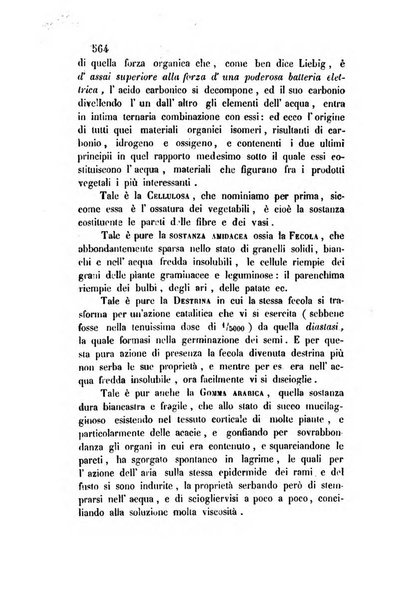 Giornale scientifico-letterario-agrario di Perugia e sua provincia