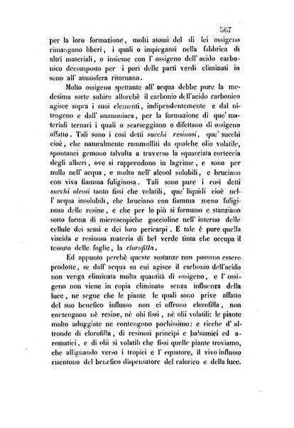 Giornale scientifico-letterario-agrario di Perugia e sua provincia