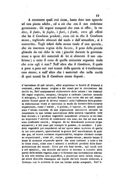 Giornale scientifico-letterario-agrario di Perugia e sua provincia