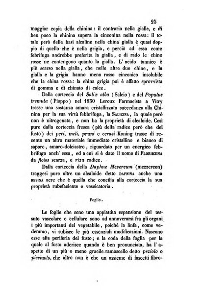 Giornale scientifico-letterario-agrario di Perugia e sua provincia