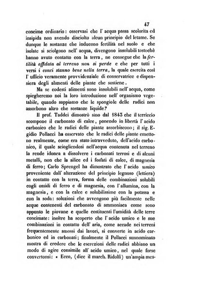 Giornale scientifico-letterario-agrario di Perugia e sua provincia