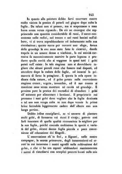 Giornale scientifico-letterario-agrario di Perugia e sua provincia