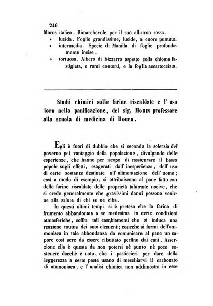 Giornale scientifico-letterario-agrario di Perugia e sua provincia