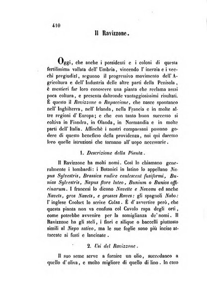 Giornale scientifico-letterario-agrario di Perugia e sua provincia