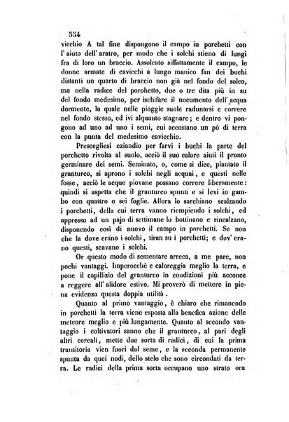 Giornale scientifico-letterario-agrario di Perugia e sua provincia