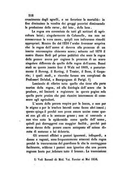 Giornale scientifico-letterario-agrario di Perugia e sua provincia