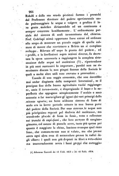 Giornale scientifico-letterario e Atti della Società economico-agraria di Perugia