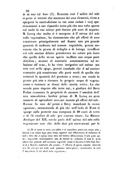 Giornale scientifico-letterario e Atti della Società economico-agraria di Perugia