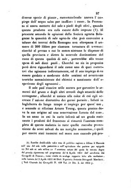 Giornale scientifico-letterario e Atti della Società economico-agraria di Perugia