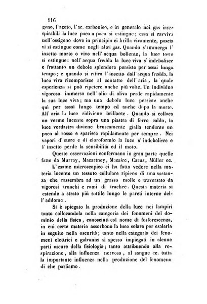 Giornale scientifico-letterario e Atti della Società economico-agraria di Perugia