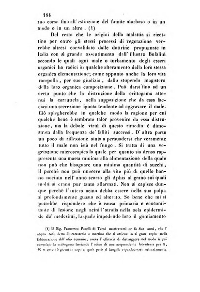 Giornale scientifico-letterario e Atti della Società economico-agraria di Perugia