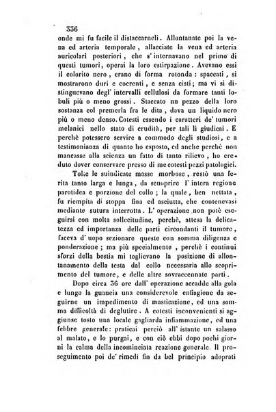 Giornale scientifico-letterario e Atti della Società economico-agraria di Perugia