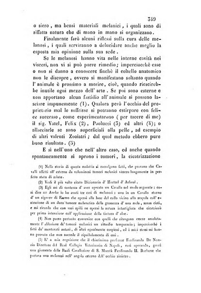 Giornale scientifico-letterario e Atti della Società economico-agraria di Perugia