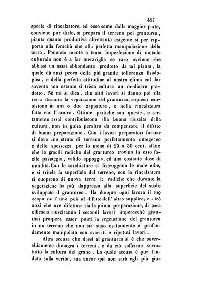 Giornale scientifico-letterario e Atti della Società economico-agraria di Perugia