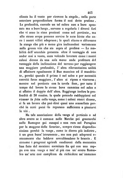 Giornale scientifico-letterario e Atti della Società economico-agraria di Perugia