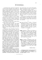 giornale/UM10012780/1901/unico/00000051