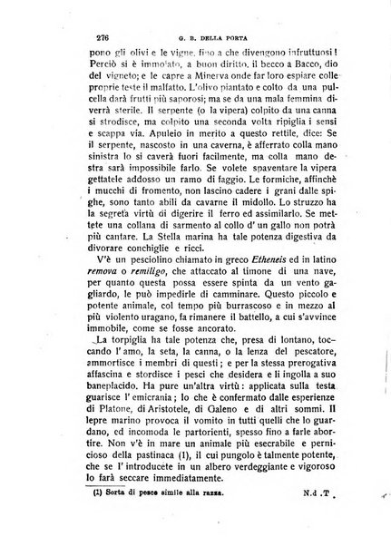 Mondo occulto rivista iniziatica esoterico-spiritica