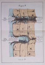 giornale/VEA0006012/1868/V.3/00000353