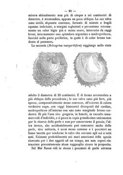 Rivista marittima