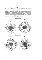 giornale/VEA0006012/1876/V.1/00000069