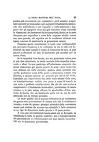 giornale/VEA0006012/1878/V.1/00000035