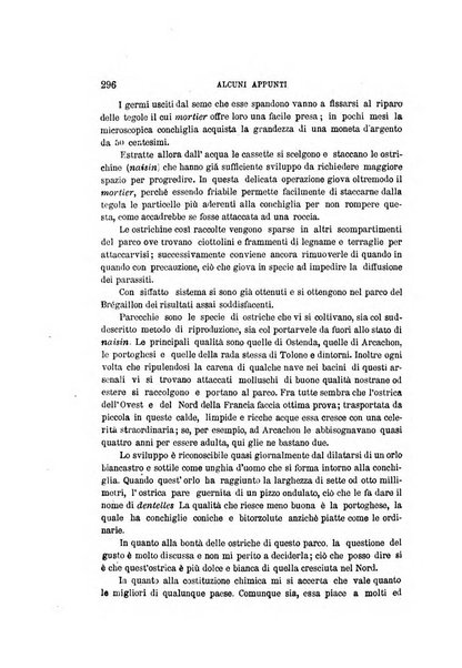 Rivista marittima