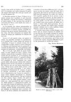 giornale/VEA0007007/1924/unico/00000315