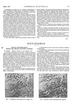 giornale/VEA0007007/1943/unico/00000329