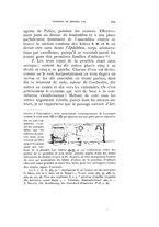 giornale/VEA0007457/1899/unico/00000519