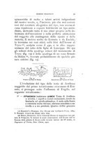 giornale/VEA0007457/1914/unico/00000045