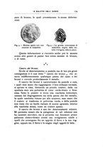 giornale/VEA0007457/1917/unico/00000189