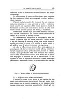 giornale/VEA0007457/1917/unico/00000193