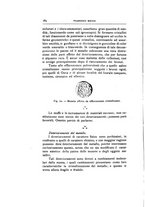 giornale/VEA0007457/1917/unico/00000194