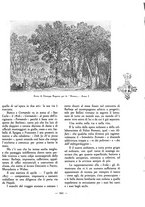giornale/VEA0008565/1935/unico/00000519