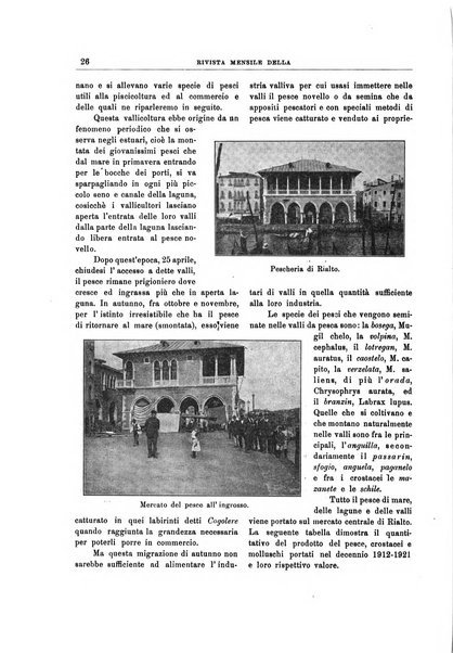 Rivista mensile della città di Venezia