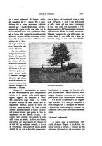 giornale/VEA0008569/1923/unico/00000185