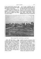giornale/VEA0008569/1924/unico/00000229