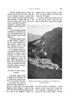 giornale/VEA0008569/1924/unico/00000411