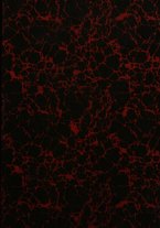 giornale/VEA0008569/1925/unico/00000001