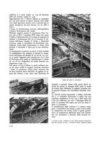 giornale/VEA0008781/1934/unico/00000272