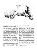 giornale/VEA0008781/1937/unico/00000318