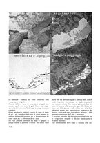 giornale/VEA0008781/1938/unico/00000228