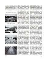 giornale/VEA0008781/1938/unico/00000348