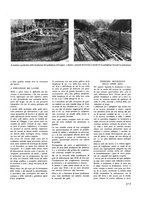 giornale/VEA0008781/1940/unico/00000637