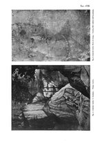giornale/VEA0008841/1938-1939/v.2/00000042