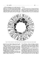 giornale/VEA0008841/1938-1939/v.2/00000313